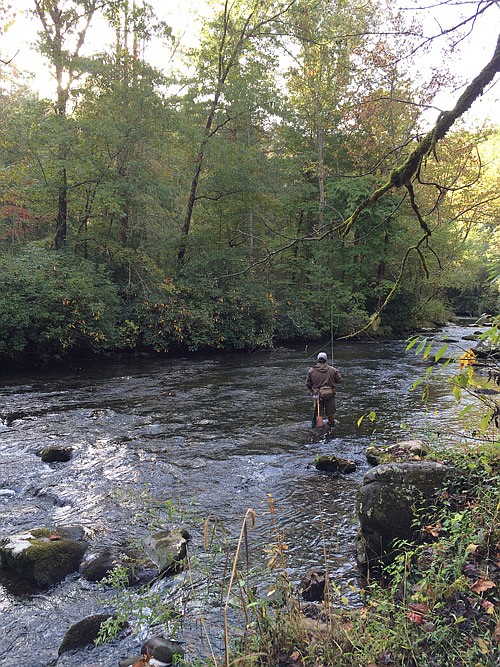 Some small streams that have historically held trout are becoming too warm in the summer months to sustain such populations.