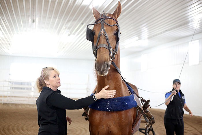 Farm owner Tonya Brison, left, shares a moment with Sugar Daddy Blues following his morning exercise at Fairview Farms in New Bloomfield. Parts of the farm were rebuilt following a massive fire in March 2016, which was fatal to several horses.
