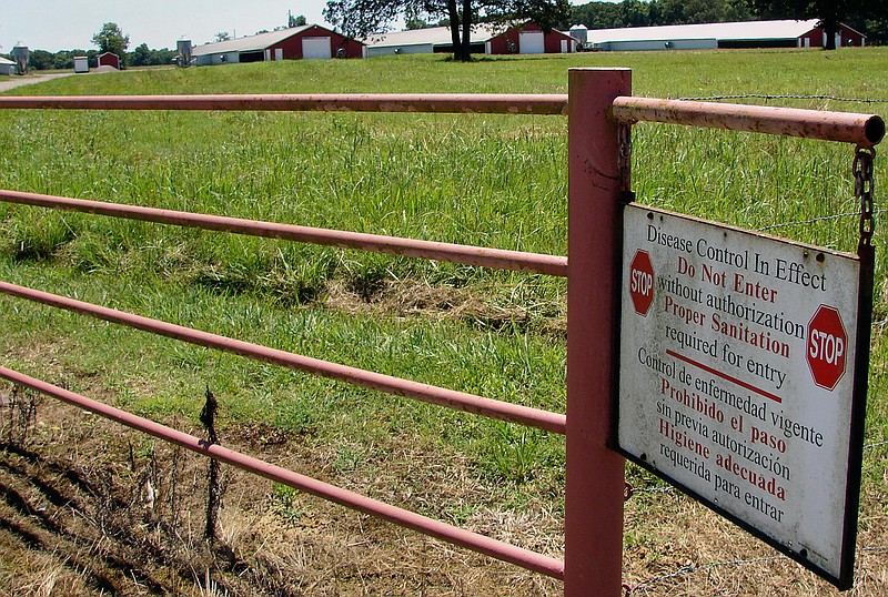 In this Tuesday, June 20, 2017 photo, a sign outside chicken houses near Plumerville, Ark., warns visitors to practice good hygiene near the young birds growing inside. When the chickens are 33 days old, they will be taken to a processing plant for slaughter and packaging. Tyson Foods says it will explore more-humane ways to kill the birds, and also that it is using a third-party to monitor videos from the plant to ensure the animals are treated properly.