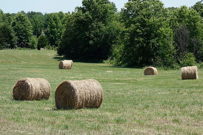 Hay rolls soak up the sunshine in a mown Callaway County field Wednesday, June 21, 2017. (Fulton Sun photo)