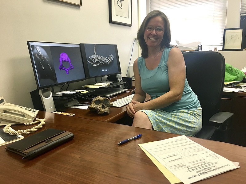 University of Missouri professor Carol Ward sits in her office in Columbia. The 3.3 million-year-old fossils of a female toddler girl have brought new life to the study of evolution and understanding of humans and how we stand. Ward, the lead author on the study, said she has joined the team analyzing the skeleton. The skeleton has never been to Missouri, so Ward has never held it in her hands. But she has been able to study it from digital scans and 3D prints made in plaster.