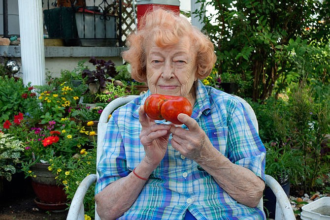 Fulton area resident Flora Clayton said she's been growing tomatoes at least nine decades. At 98 years old, grew her biggest one yet.