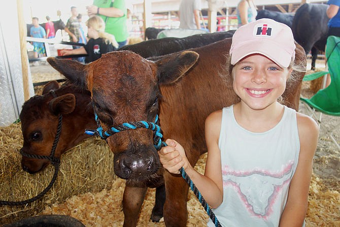 Isabelle Borcherding tends to her family's calves, Rocky and Cottontail, at the Callaway Youth Expo in Auxvasse. Borcherding, who just completed fourth grade, planned to show her dairy cow. "She's so calm and she's just really soft and sweet," Borcherding said.