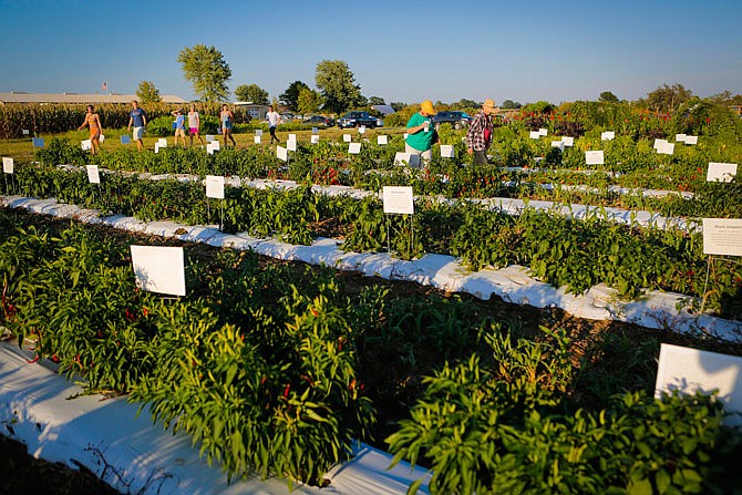 The Vegetable Grower's Field Day will be 3-5 p.m. Aug. 3 at the Bradford Research Center.