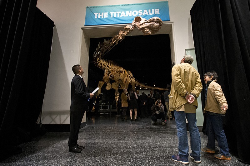 <p>AP</p><p>Visitors to the American Museum of Natural History exame a replica of a 122-foot-long dinosaur on display at the American Museum of Natural History in New York. A study proclaims a newly named species the heavyweight champion of all dinosaurs. The plant-eating giant is the largest of a group of dinosaurs called titanosaurs At 76 tons, the behemoth was as heavy as a space shuttle.</p>
