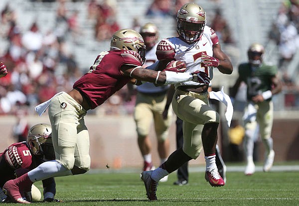  In this April 8 file photo, Florida State freshman running back Cam Akers tries to break away from Stanford Samuels III during the team's spring game in Tallahassee, Fla. Akers' presence could help Florida State withstand the loss of Vikings second-round draft pick Dalvin Cook, the Seminoles' career rushing leader.