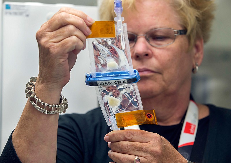 This Aug. 18, 2017 photo, Joan Nichols, the associate director for research and operations for the Galveston National Laboratory at University of Texas Medical Branch, holds up samples of living lung tissue stem cells similar to samples sent up to the International Space Station to study cellular growth in a zero gravity environment in Galveston, Texas. The study will have practical applications in therapeutics for astronauts as well as those on Earth.  