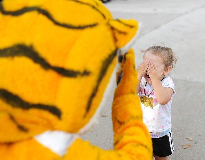 Anastasia Hoppe, 2, plays peek-a-boo with Truman the Tiger during the University of Missouri tailgate party Thursday, Aug. 31, 2017 at Memorial Park in Jefferson City. The event featured a silent auction, food and games.