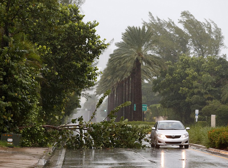 A car drives around a tree downed by winds from Hurricane Irma, Saturday, Sept. 9, 2017, in Golden Beach, Fla. (AP Photo/Wilfredo Lee)