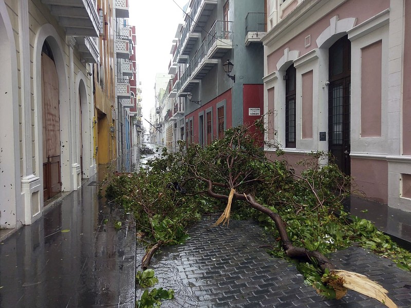 In this photo provided by Jason Heskew, a downed tree blocks a street during Hurricane Maria in Old San Juan, Puerto Rico, Wednesday, Sept. 20, 2017. The strongest hurricane to hit Puerto Rico in over 80 years tore off roofs and doors, knocked out power across the entire island and unleashed heavy flooding. 
