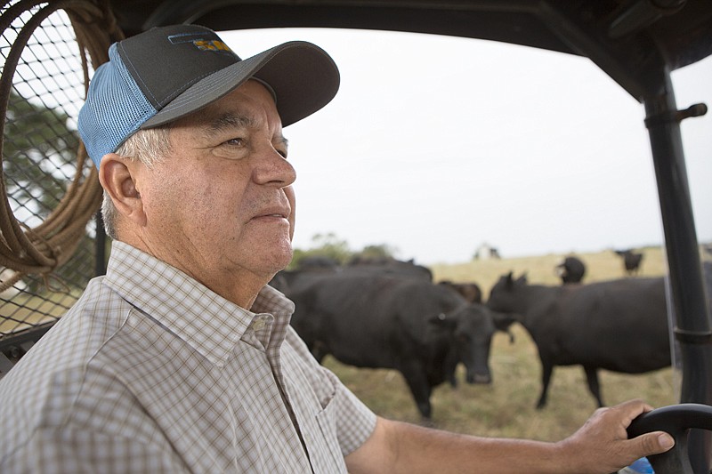 Robert Martinez checks the cattle on his ranch Thursday. Martinez has been a pioneer of transformation in the region. "I believe it's important. I feel  like I've contributed to building bridges connecting Anglos and Latinos," Martinez said.