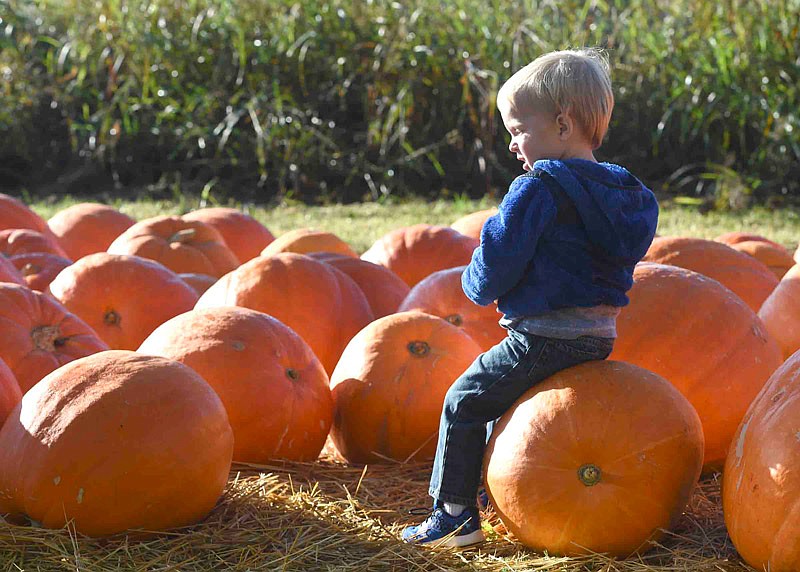 Kaden Anderson, 2, sits on a pumpkin at the Hartsburg Pumpkin Festival on Sat. Oct. 8, 2016.