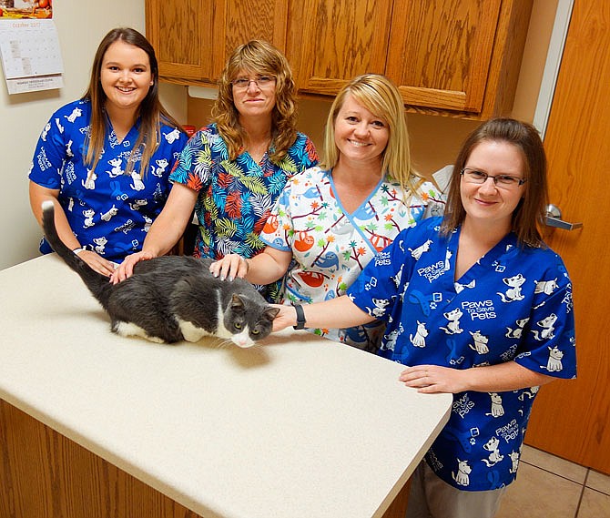 Visiting with their feline friend Spook, 9, a regular boarder at Midwest Veterinary Clinic in Fulton, are the practice's four technicians, Morgan Rost, Sasha Mosteller, Catrina Sessler and Mary Simpson. The practice is celebrating National Veterinary Technician Week.
