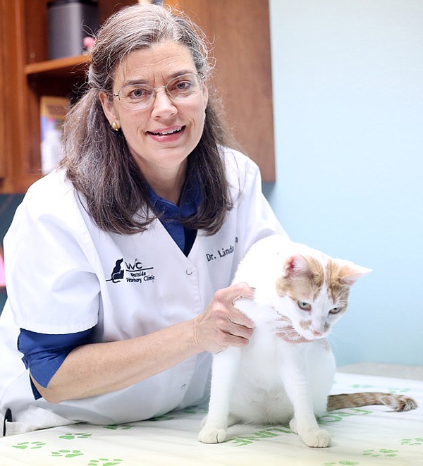 Linda Patton Vet goes from summers at a farm to 26 years at clinic