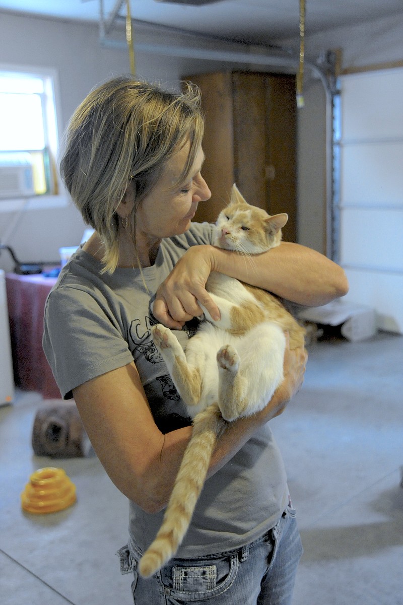 California's "cat lady," Teresa Porter doesn't hoard cats, rather she cycles them through, fixed and healthy, at more than 100 a year. She is shown here with Soldier, the only one from 2016 that stayed with her, due to his easy-going personality.