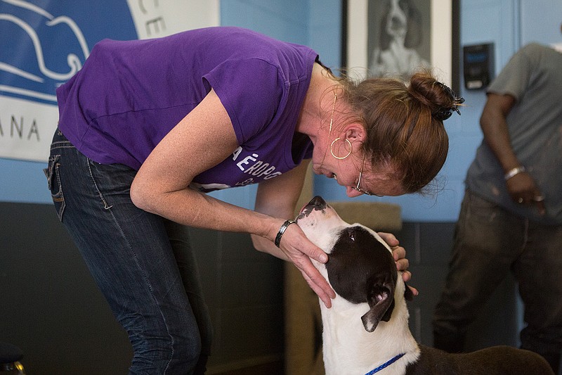 Happy ending Family reunited with missing dog Boomer, who had been
