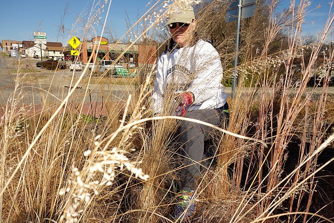 Fulton Garden Club President Diane Neterer ties the bases of native grasses Thursday in the roundabout at Market and Second streets in Fulton. She and native plants specialist Ann Wakeman were preparing the site for winter.