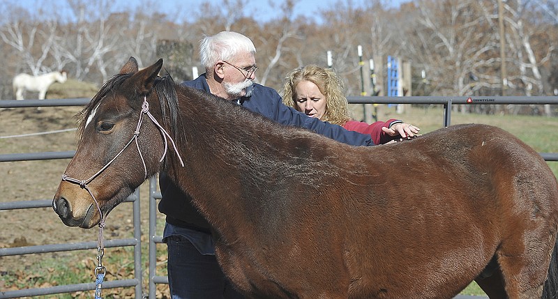 Roger Crothers works with Navi, a 12-year-old formerly wild mustang rescued in April, under the Healing Horses riding program in Linn. Under owner Amy DeCramer's supervision, Crothers receives instruction on how to get the animal to trust him and follow his lead.