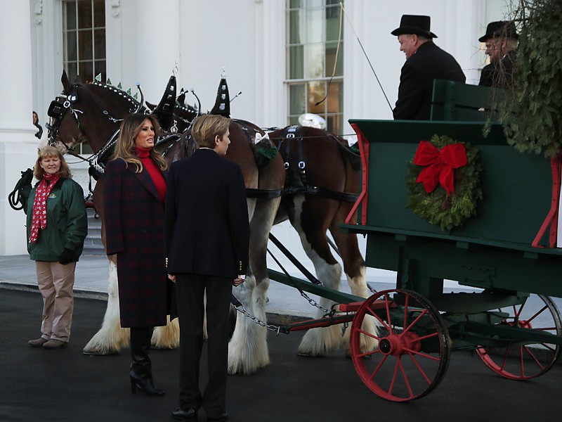 First lady Melania Trump and her son, Barron Trump, look at the Wisconsin-grown Christmas tree on Monday at the North Portico of the White House in Washington. The tree will be displayed in the White House Blue Room.