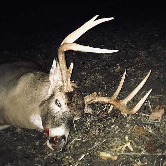 Preliminary data from the Missouri Department of Conservation show deer hunters in Missouri harvested 191,368 deer during the November portion of fall firearms deer season, Nov. 11- 21. This antlered buck was harvested in Knox County.