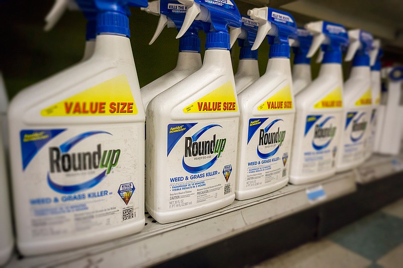 Containers of Monsanto Roundup weed killer on a garden supply store shelf in New York on May 23, 2016. 