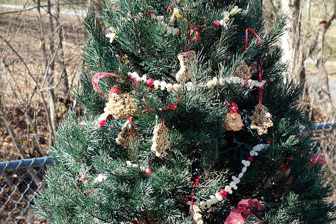 Twillman Feed Service's bird seed-decorated tree at Fulton's Field of Joy at Veterans Park.
