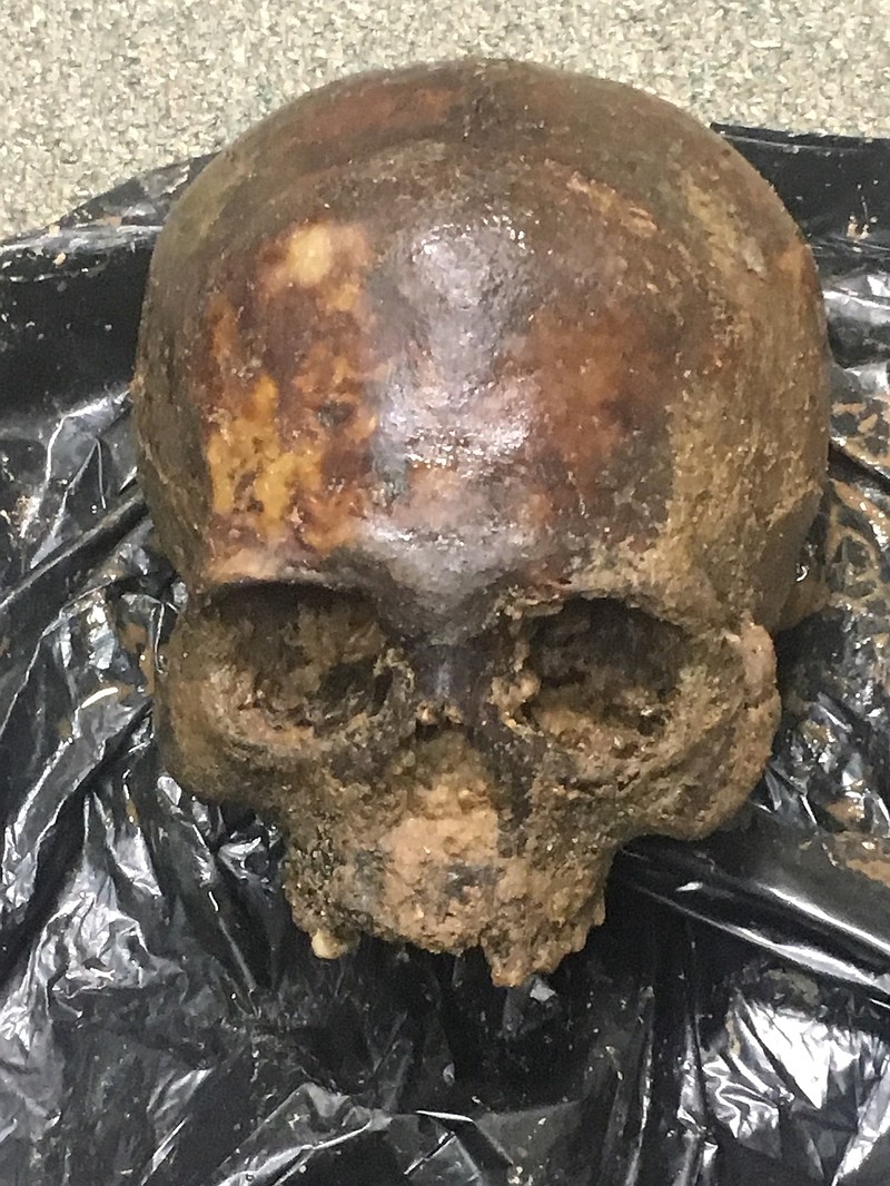 A skull found recently along the Red River in Lafayette County, Ark., was identified as at least a century-old Native American, according to Sheriff Obie Sims. Testing at the Arkansas Crime Lab in Little Rock confirmed it was Native American. (Photo courtesy of the Lafayette County Sheriff Department)