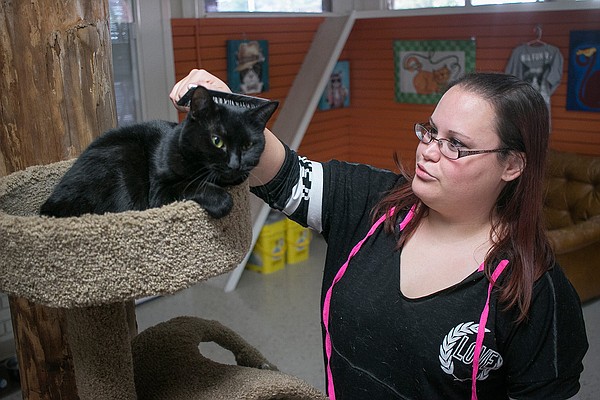 No kill center puts dent in number of homeless pets Texarkana