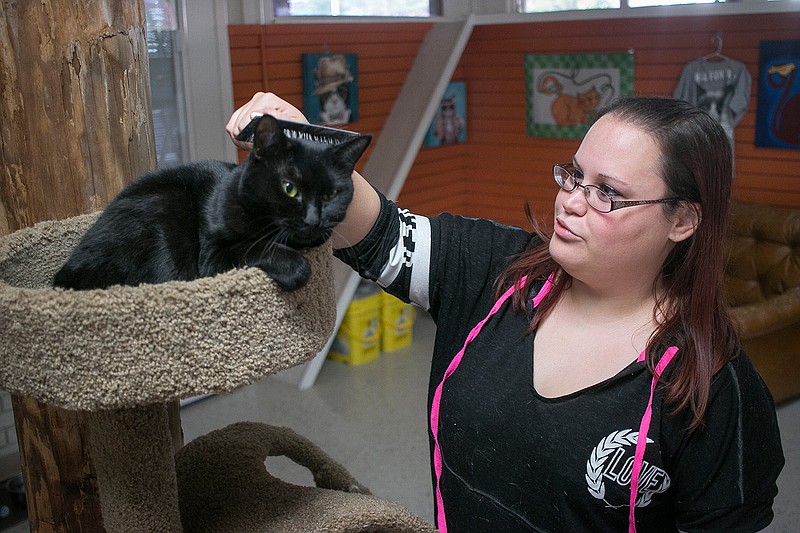 No-kill center puts dent in number of homeless pets