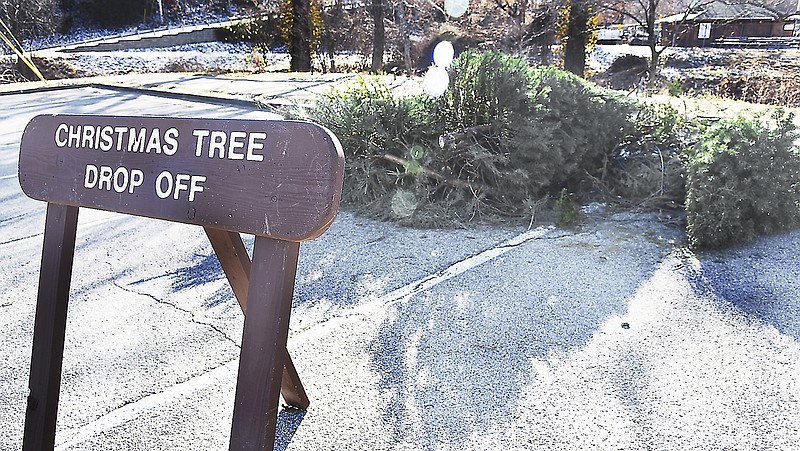 It's that time of the year again when area residents drop off their trees in Washington Park after Christmas. 