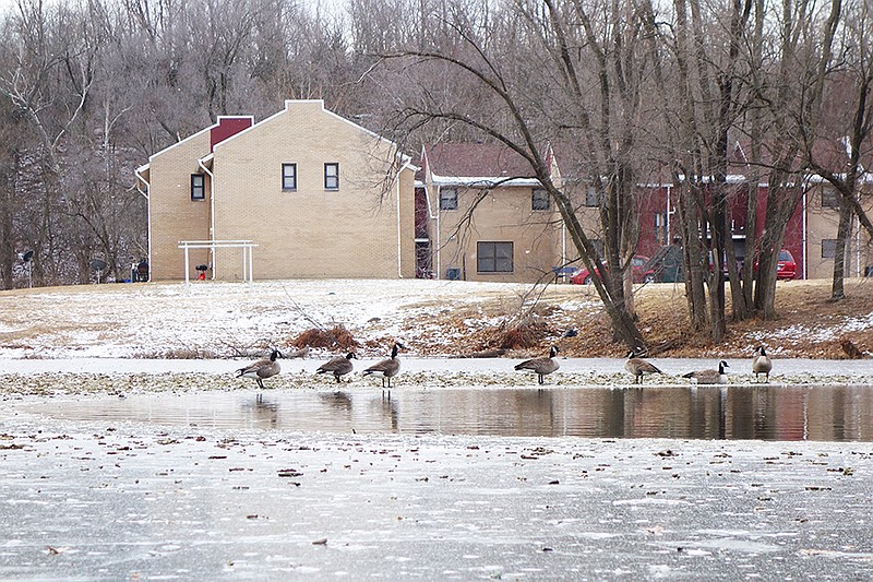 Geese huddle on the ice behind the John C. Harris Community Center in Fulton. According to Our House Executive Director Brad Sheppard, the community center is a popular hangout for the homeless during the day. At night, Our House is facing increased demand.