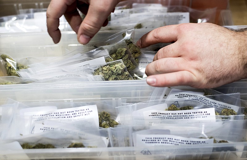 FILE - In this Jan. 6, 2018, file photo, an employee stocks cannabis at a store shortly before its first day of recreational marijuana sales in San Francisco. California's legal pot market is being ushered in with a sprawling, untested system to transport buds and products around the state. The so-called marijuana distributor is a kind of skeleton connecting the state's emerging industry of growers, sellers and manufacturers. (AP Photo/Noah Berger, File)