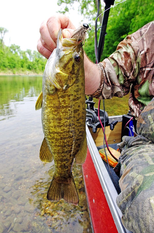 Driftwood Outdoors: Fly fishing for smallmouth bass