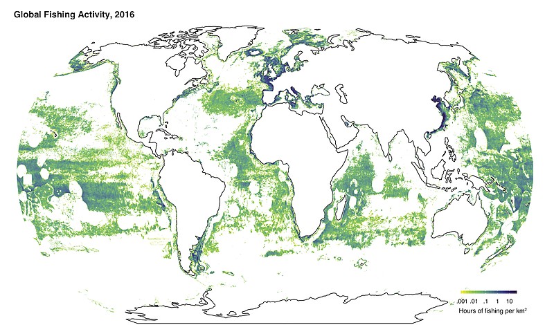 This image provided by Global Fishing Watch shows fishing activity around the world in 2016. According to a study released Thursday, Feb. 22, 2018, researchers found more than 55 percent of the world’s oceans are fished commercially, with five countries responsible for 85 percent of high seas fishing. Study co-author Boris Worm says the findings show that ships are obeying no-fishing zones and times, although they hover at the edges of marine-protected areas. (Global Fishing Watch via AP)