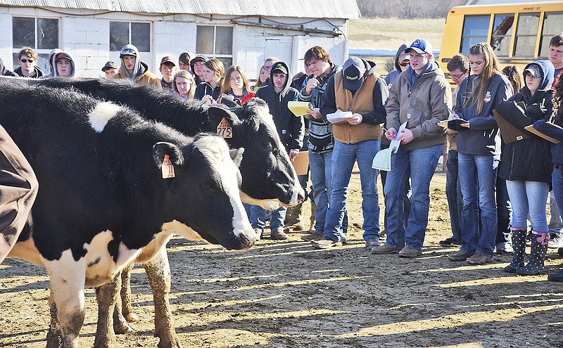 Tuesday, March 13, 2018, was FFA Day at Lincoln University and about 900 students from around the Mid-Missouri region attended a gathering at Richardson Auditorium before dispersing to other locations to use various skills learned through the program. More than 100 students visited Bruemmer Dairy Farm on Bald Hill Road to test their ability to discern particular characteristics while evaluating the cattle. After this portion of FFA Day, they returned to LU where they met in the gymnasium before being dismissed.
