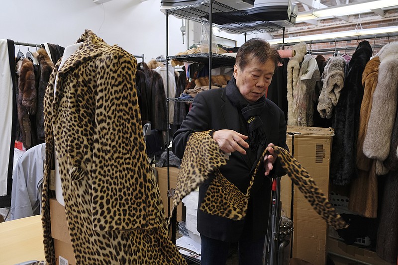 In this photo taken Friday, March 16, 2018, Benjamin Lin looks over a 60-year-old cheetah jacket he is restoring at the B.B. Hawk showroom in San Francisco. San Francisco could become the largest U.S. city to ban the sale of fur items, a move that would hearten animal lovers but frustrate niche business owners who say they're fed up with a city that dictates what retailers can or can't sell. If the ban is approved by the Board of Supervisors on Tuesday, March 20, 2018, San Francisco would join two other California cities, West Hollywood and Berkeley, in saying no to a symbol of glamour that animal advocates say is built on cruelty and doesn't reflect the city's values. (AP Photo/Eric Risberg)