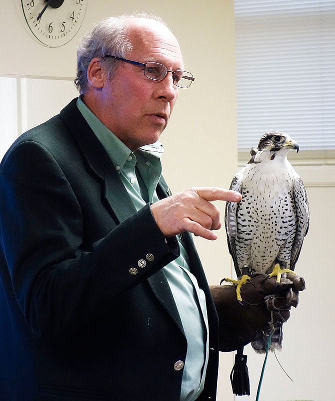 Stephen Heying and his falcon, Big Bird (nicknamed Moose), gave a presentation Saturday at the library in Fulton, and another in Columbia later that day. He's been hunting with falcons since age 13, he said.