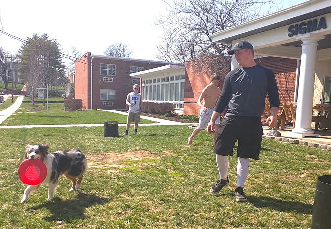 Members of the Westminster College chapter of Sigma Alpha Epsilon enjoy the sunshine Thursday in front of the fraternity house. College officials are moving SAE members to student housing for the rest of the year as a disciplinary measure for unspecified "conduct issues."