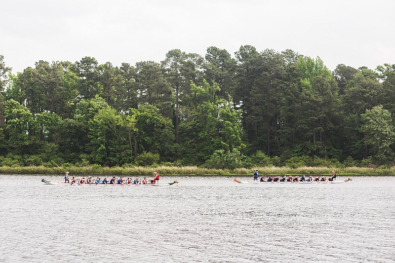 The Dragon Boat races at Bringle Lake are a fundraiser for Hands On Texarkana. (Gazette file photo)
