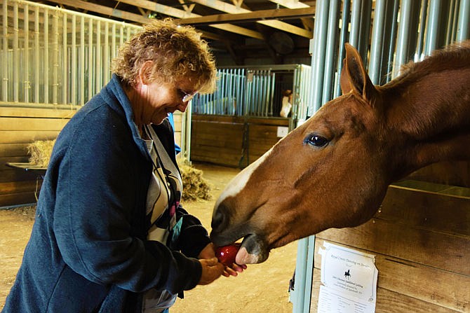 Mary Linn Schneider feeds an apple to Royal in the William Woods University stables. She was one of several equestrian program alumnae to revisit the faclilities during Alumni Weekend.
