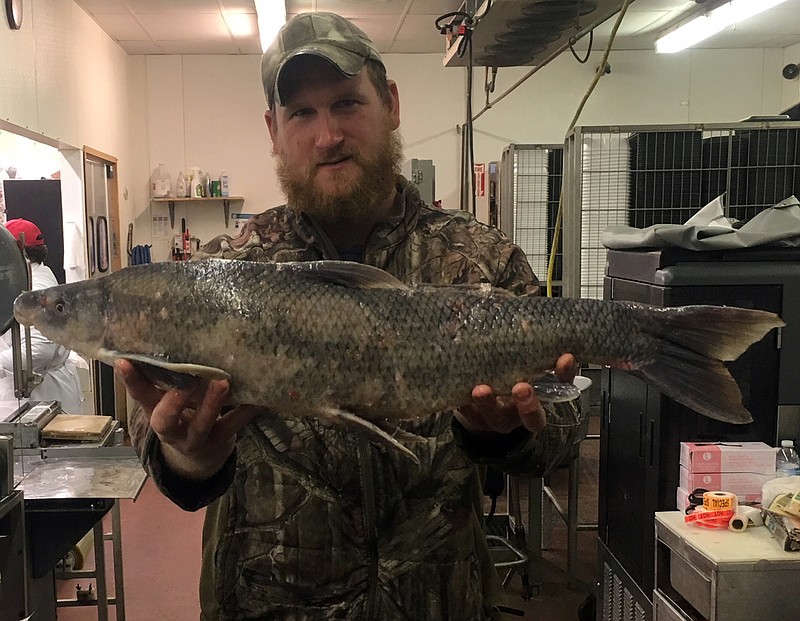 Bryant Rackers, of Bonnots Mill, caught this state-record blue sucker April 21 on the Osage River.