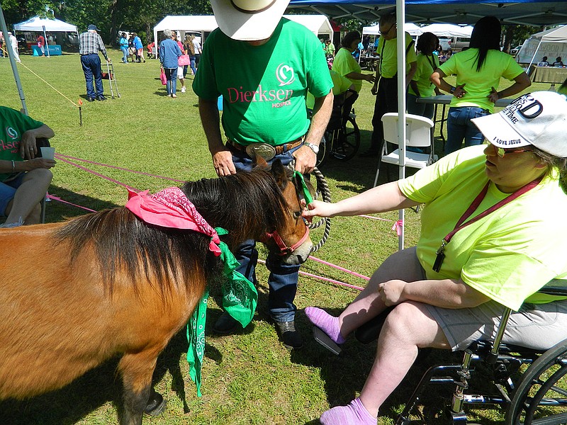 Dianne Kattner visits with Little Man the mini horse Thursday at Dierksen Hospice Senior Fun Day. The event is held at Spring Lake Park each May as part of Older Americans Month.