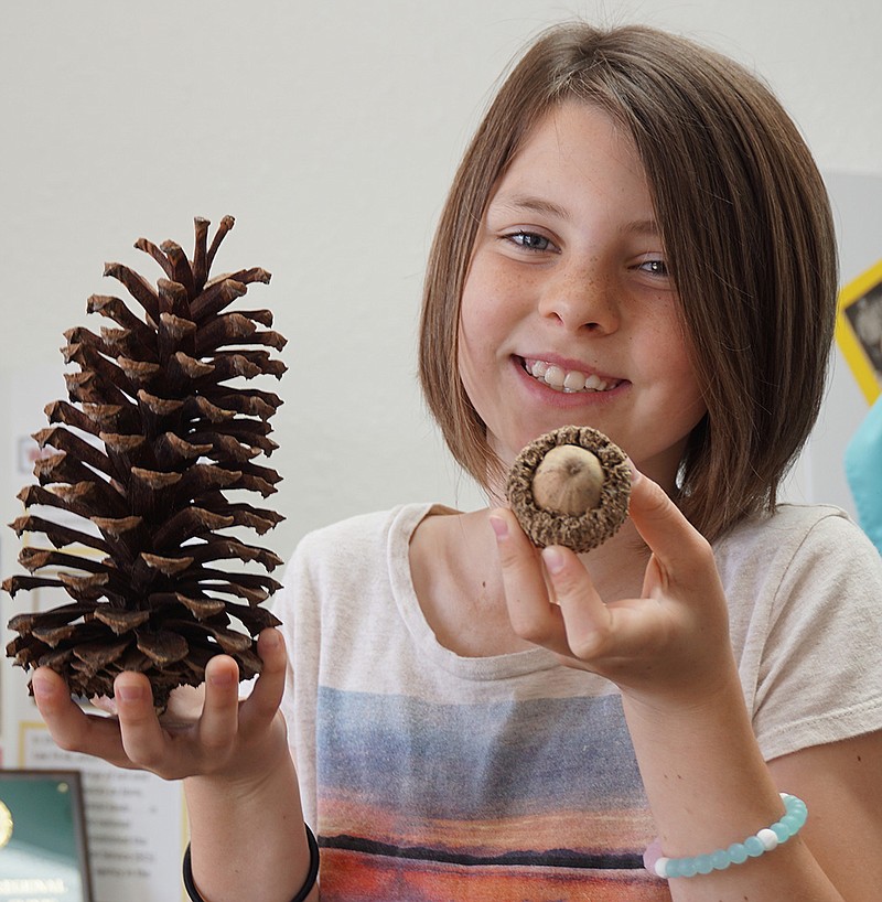 Do you know what tree these acorns and cone are from? Phenyx Reust, a member of Cass County's state-winning 4-H forestry team does, even though she's very likely the youngest member of any team in the state. See next week's Regional News for the answer.