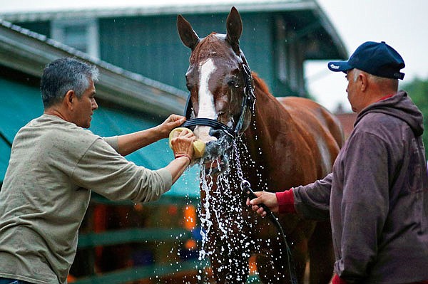 Kentucky Derby winner Justify is washed outside a barn Friday at Pimlico Race Course in Baltimore. Justify is the big favorite for today's Preakness Stakes.