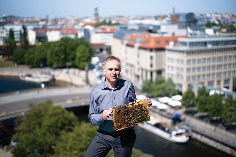 Lars-Gunnar Ziel, managing director of Berlin Cathedral, shows a honeycomb produced in a hive on the roof of the cathedral in central Berlin.