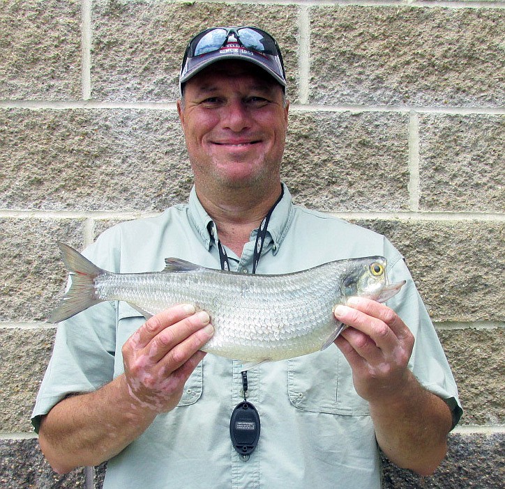 Kerry Glenn, of Sedalia, broke the pole-and-line state record by catching a 2-pound, 2-ounce goldeye on Truman Lake on May 25.