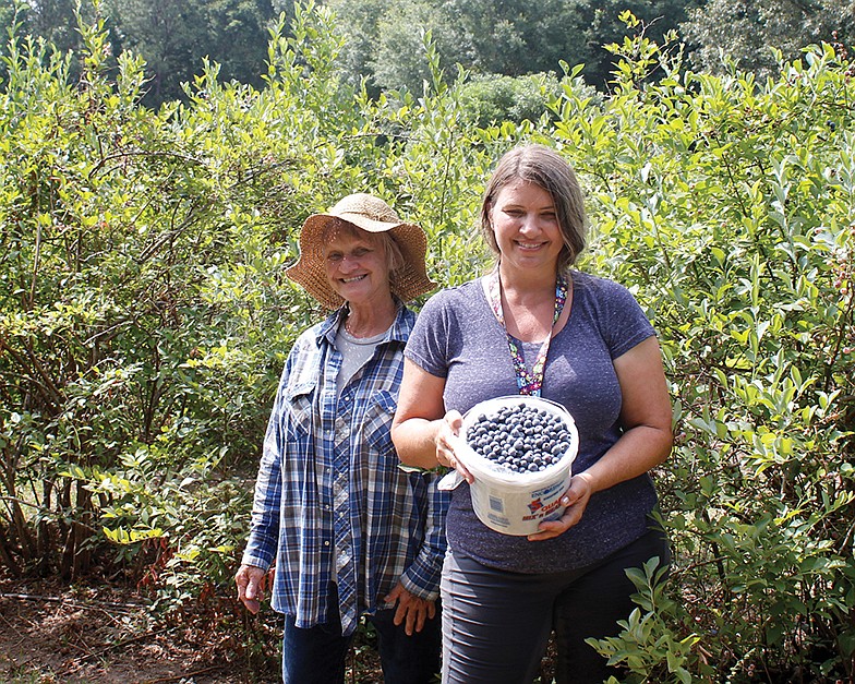 Dorothy Russell and her daughter, Texarkana Blueberry Patch owner Michelle Armstrong, show off a bucket of blueberries picked Monday. The blueberry farm opened for business Monday, and the picking season usually lasts about a month depending on weather. 