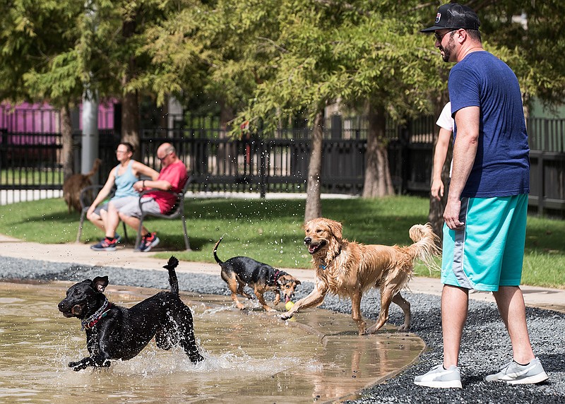 In this Monday, June 11, 2018 photo, David Camp watches his dog, Lewis, play in the water at Johnny Steele Dog Park in Houston. The park, which was heavily damaged by Hurricane Harvey, reopened for the first time since the storm. ( Brett Coomer/Houston Chronicle via AP)