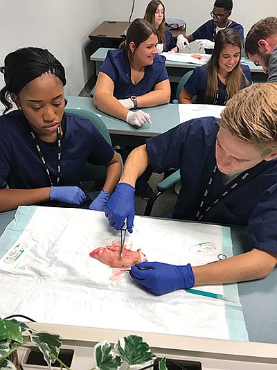 Students learn how to do suturing during the University of Arkansas for Medical Sciences' MASH program. The program, which ends on Friday, introduces students to a variety of professions in health care to help them determine the right path for them.