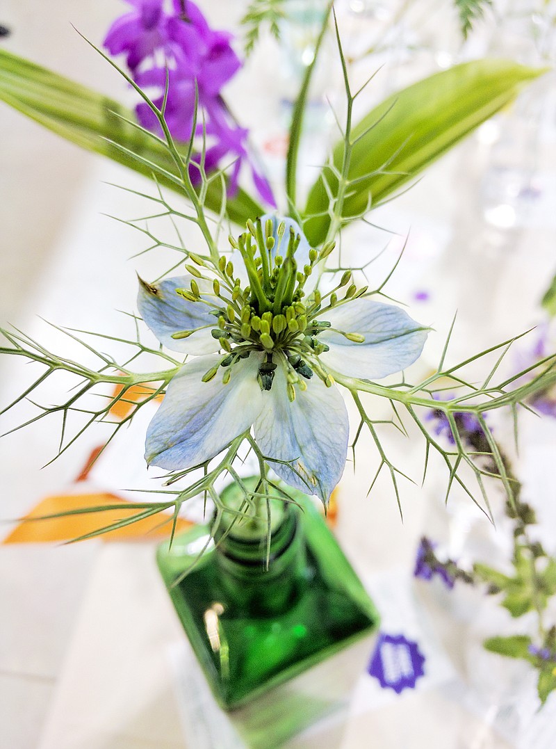 This Nigella damascena flower was one of many unusual blooms on display at last year's Fulton Garden Club Flower Show. A Thursday class will teach you how to enter your own plants.